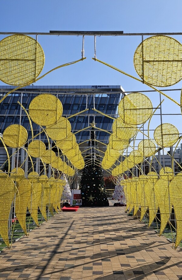 [사진=빛트리축제 시민추진단]
