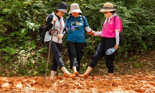 대전시 맨발걷기 녹색도시 조성 본격화-맨발걷기 산책로[사진=대전시]대전시 맨발걷기 녹색도시 조성 본격화-계족산 황톳길대전시 맨발걷기 녹색도시 조성 본격화-한밭수목원[사진=대전시]